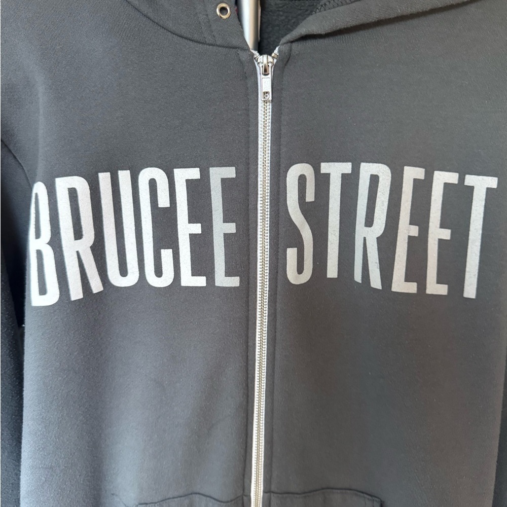 Hoodie Bruce E Street Gray US L - Picture 8 of 8